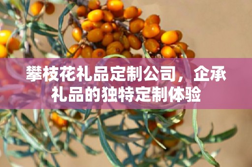 攀枝花礼品定制公司，企承礼品的独特定制体验