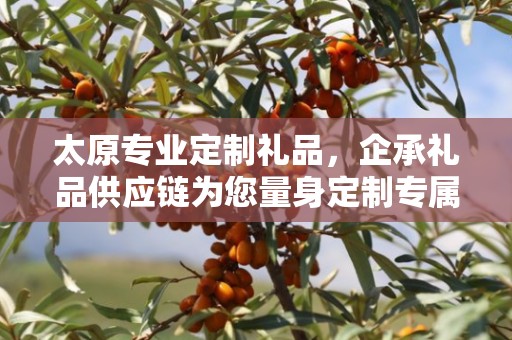 太原专业定制礼品，企承礼品供应链为您量身定制专属礼品